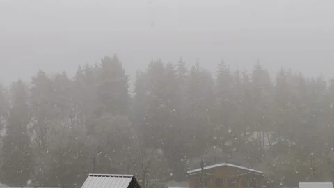 Gentle snowfall obscures a distant forest and houses on a cold, misty day 库存影片 310408576