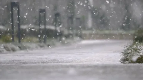 Gentle snowfall on a serene winter path, tranquil natural landscape in soft.. 库存影片 331719601