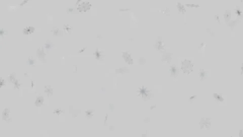 Gentle snowflakes falling softly on a light gray background overlay Vídeos de archivo 346243773