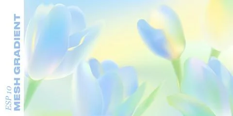 Gentle spring background features blooming tulip petals in イラスト素材