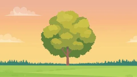 Gentle Spring Light Over Meadow Ilustração Stock