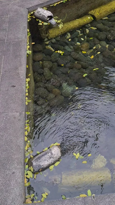 Gentle spring water flowing Video stock 313040639