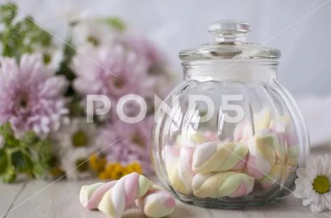 A gentle still-life with sweets. Stock Photos