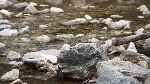 Gentle stream and fallen tree branch at base of Lower Yosemite Falls Stock Footage 241194104