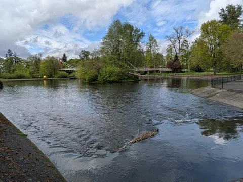 A gentle stream and small rapids flow toward a scenic pond Stock Photos