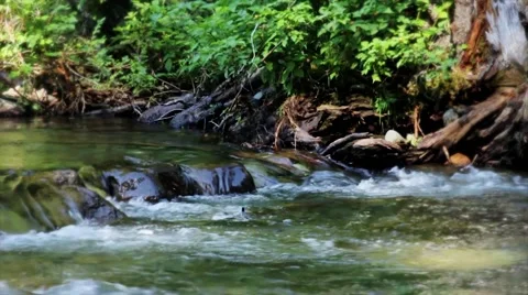 Gentle Stream with audio Stock Footage 43221730