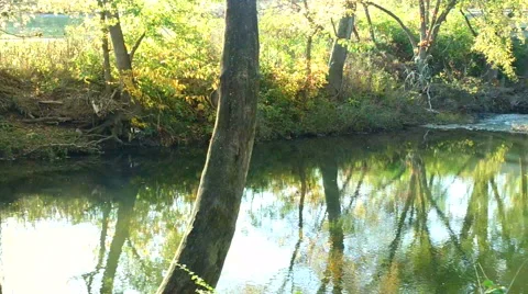 Gentle Stream in Autumn Stock Footage 43189225