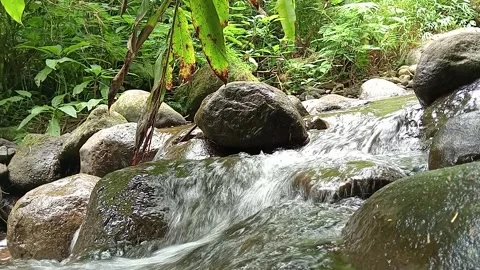 Gentle Stream Cascade Over Mossy Rocks in Tropical Forest Stock Footage 330582075