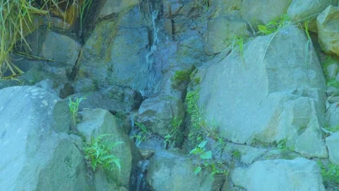 Gentle Stream Cascading Over Mossy Rocks Stock Footage 283702754