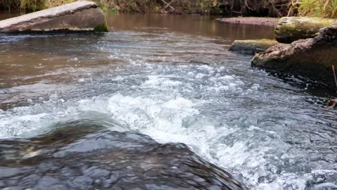 Gentle stream cascading over rocks in a serene natural setting Vídeos de archivo 295338402