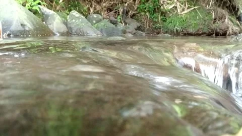 Gentle Stream Flow with Green Reflections | Calm River Nature Background Stock Footage 330547442