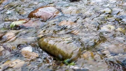 A gentle stream flows over smooth stones Stock Footage 313218809