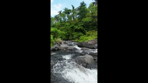 Gentle stream flows over smooth, dark stones. Ideal for nature documentaries. Stock Footage 334626763