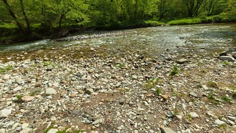 Gentle stream flows over smooth stones. Gradac River, Serbia Stock Footage 335075042