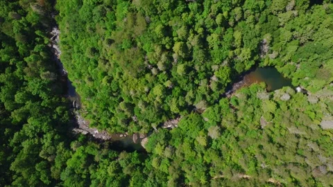 A gentle stream flows through a layered stone canyon in Paradise, Tennessee Stock-Footage 340148476