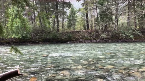 Gentle Stream Stock Footage 209589924