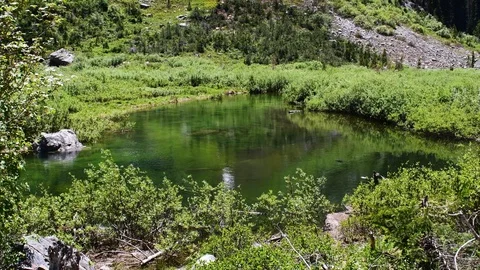 Gentle stream in a mountain valley Stock Footage 128154282