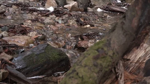 Gentle stream running with slow pan Stock Footage 88008803
