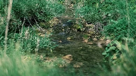 Gentle stream with sound Stock Footage 196168886