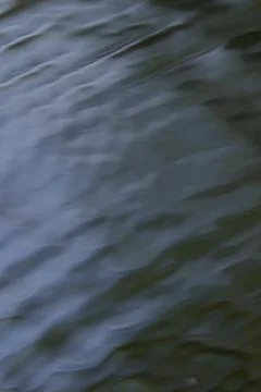 Gentle structure on the pond, gray wave pattern on the water Stock Photos