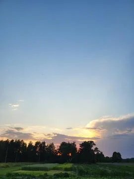 Gentle sun rays on evening sky over tree line Photos