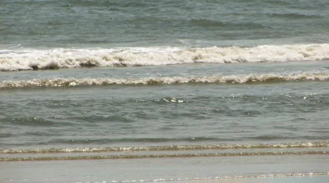 Gentle Surf Stock Footage 144890