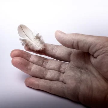 The gentle touch of a feather Stock Photos