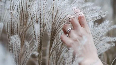 Gentle touch with a loving hand in a good time Stock Photos