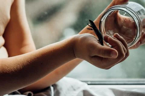 The Gentle Touch Stock Photos