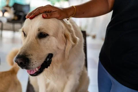 Gentle Touch Stock Photos