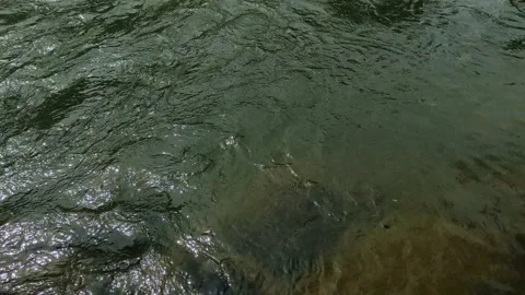 Gentle Tropical Water Current Passing Over Visible River Stones Stock Footage 334764847