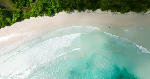 Gentle turquoise waters with white sandy beach and greenery. Seychelles, Mahe. Stock Footage 311347752