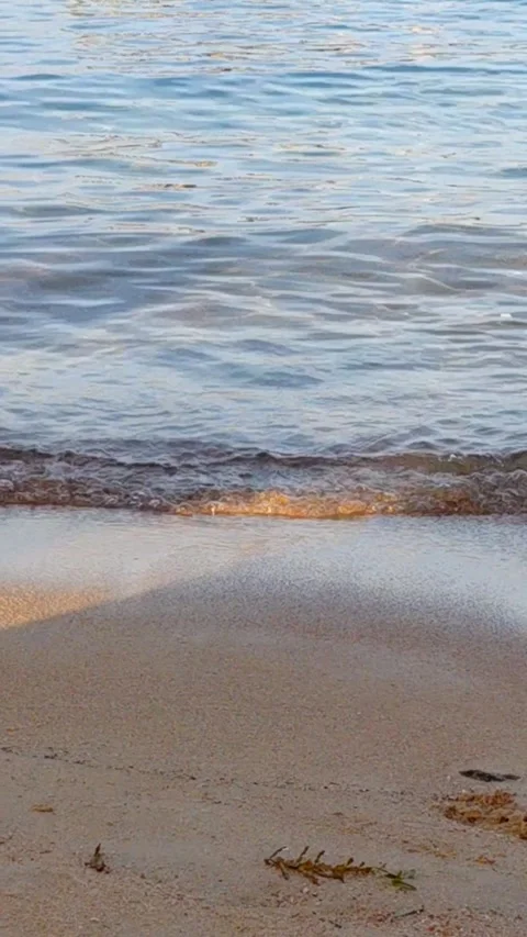 The gentle wash of sea waves Stock Footage 336170860
