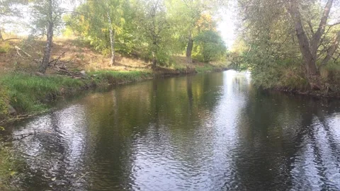 Gentle Water Ripples On River Surface Next To Lush Green Bank Stock Footage 348029068