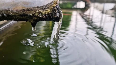 Gentle Water Stream Aerating a Mixed Koi and Barb Fish Pond in Slow Motion Stock Footage 333114760