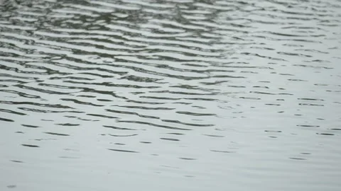 Gentle Water Waves on a Calm Surface Stock Footage 336648366