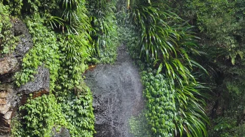 Gentle waterfall cascades down moss covered rocks surrounded by lush green .. Vídeo Stock 332823894