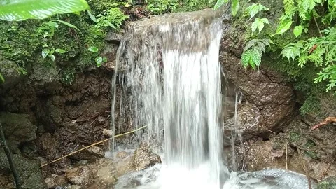 Gentle Waterfall Falling Over Mossy Rocks in Tropical Jungle Stock Footage 332068099