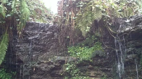 Gentle Waterfall Vídeo Stock 1240120