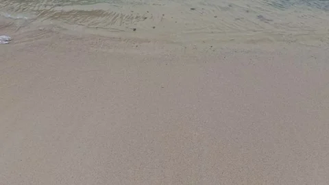 Gentle wave line reaching smooth pale sand on a quiet tropical beach Stock Footage 346741588