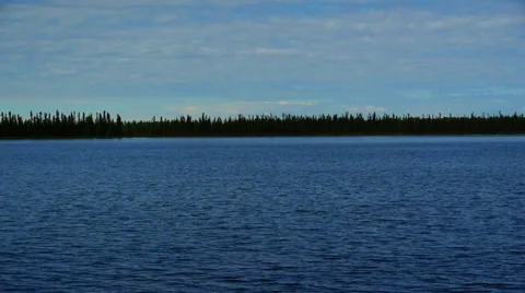 Gentle Wave Ripple on Lake with Trees on Distant Shore Stock Footage 33494759