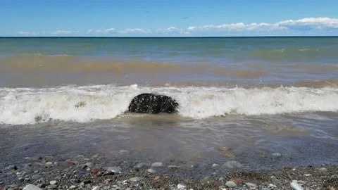 Gentle waves breaking over black rock. Stock Footage 169751592