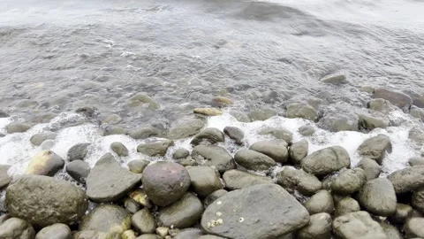 Gentle waves breaking on rocky beach, closeup. Long Island Sound, New York. Vídeos de archivo 327325617