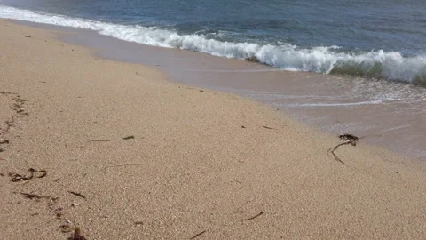 Gentle waves breaking on sandy beach, smooth forward motion along shore. Stock Footage 197011458
