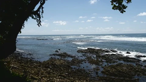 Gentle waves on coast Stock Footage 126669464