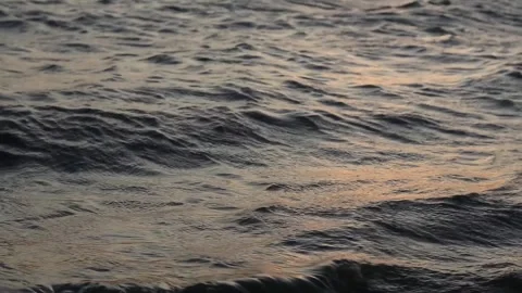 Gentle Waves at the Lake Stock Footage 252561565