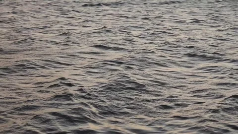 Gentle Waves at the Lake Stock Footage 252561579