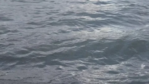 Gentle Waves at the Lake Stock Footage 252626631