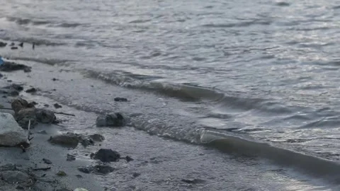 Gentle Waves at the Lake Stock Footage 252626788