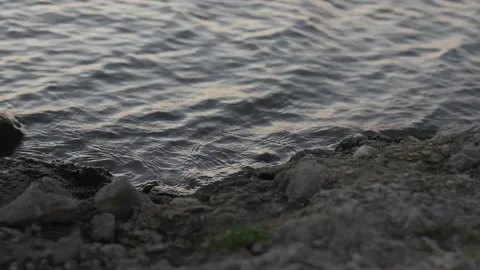 Gentle Waves at the Lake Stock-Footage 253455900